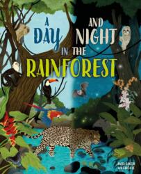 A Day and Night: In a Rainforest (ISBN: 9781445191676)