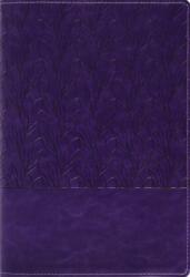 Amplified Holy Bible, Large Print, Leathersoft, Purple (ISBN: 9780310468943)
