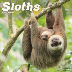 Sloths Wall (ISBN: 9781806481521)