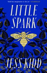 Little Spark (ISBN: 9781838856564)