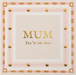 Mum, You're the Best (ISBN: 9781917083317)