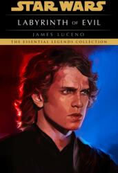 Star Wars: Labyrinth of Evil (ISBN: 9781804964019)