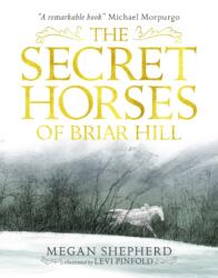 Caii secreți din Briar Hill (ISBN: 9781406373554)