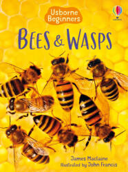 BEES & WASPS - MACLAINE JAMES (2025)