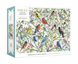 Sibley Songbirds Jigsaw Puzzle (ISBN: 9780593800133)