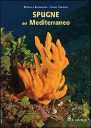 Spugne del Mediterraneo - Rossella Baldacconi, Egidio Trainito (ISBN: 9788865204016)