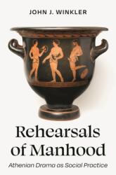 Rehearsals of Manhood (ISBN: 9780691206486)