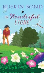 The Wonderful Stone (ISBN: 9789365231274)
