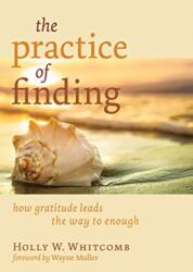 The Practice of Finding (ISBN: 9780802875303)