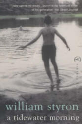 Tidewater Morning - William Styron (ISBN: 9780099285533)