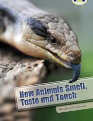 Bug Club Independent Non Fiction Year Two White A How Animals Smell, Taste and Touch (ISBN: 9780435076306)