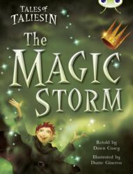 BC Gold B/2B Tales of Taliesin: The Magic Storm (ISBN: 9780435143367)