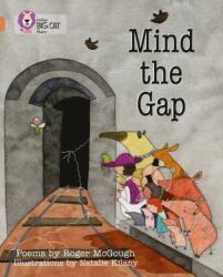 Mind the Gap (ISBN: 9780007336227)