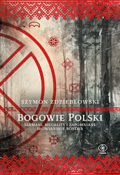 Bogowie Polski. Szamani, megality i zapomniane słowiańskie bóstwa (ISBN: 9788383384825)