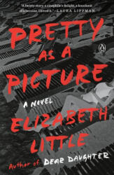 Pretty as a Picture - Little, Elizabeth (ISBN: 9780143110552)