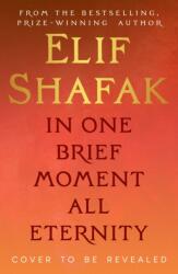 In One Brief Moment All Eternity (ISBN: 9780241745465)