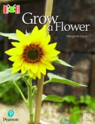 Bug Club Reading Corner: Age 4-7: Grow a Flower (ISBN: 9781292447117)