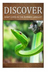 What Lives in the Borneo Jungle? - Discover - Discover Press (ISBN: 9781499366471)