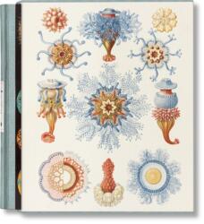 The Art and Science of Ernst Haeckel (ISBN: 9783754406106)