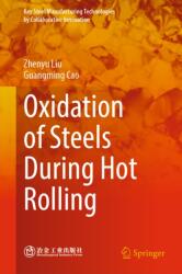 Oxidation of Steels During Hot Rolling (ISBN: 9789819587681)