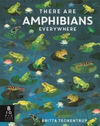There Are Amphibians Everywhere (ISBN: 9781835878583)