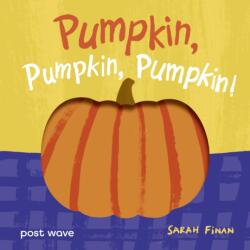 Pumpkin, Pumpkin, Pumpkin! (ISBN: 9781836271444)