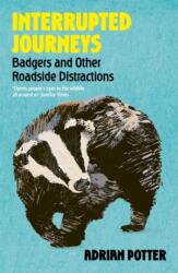 Interrupted Journeys (ISBN: 9781399822411)