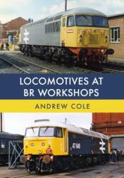 Locomotives at BR Workshops (ISBN: 9781445672304)