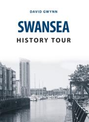 Tur istoric Swansea (ISBN: 9781445673165)