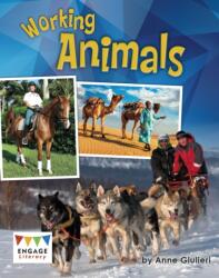 Working Animals (ISBN: 9781474739085)