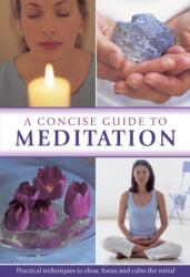 Concise Guide to Meditation (ISBN: 9780754827788)