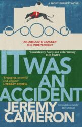 It was An Accident (ISBN: 9781908446343)