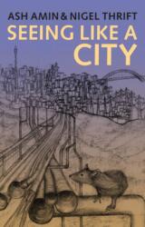 Seeing Like a City (ISBN: 9780745664262)