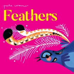 Pete Cromer: Feathers (ISBN: 9781922943934)