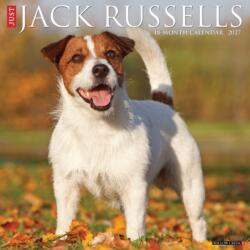 Jack Russells 2027 Wall (ISBN: 9781549260834)