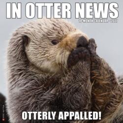 In Otter News 2027 Wall (ISBN: 9781549260766)