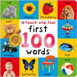 First 100 Words Touch-and-Feel (ISBN: 9781684496075)