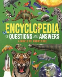 Encyclopedia of Questions and Answers (ISBN: 9781398855373)