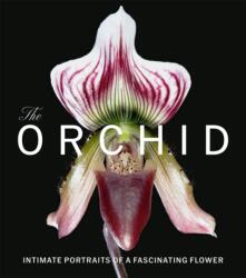 The Orchid (ISBN: 9781785516511)