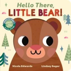 Hello There, Little Bear! (ISBN: 9781801048798)
