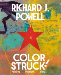 Colorstruck! (ISBN: 9780691285160)
