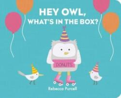 Hey Owl, What's in the Box? (ISBN: 9781800360037)