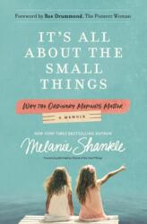 It's All About the Small Things (ISBN: 9780310354963)