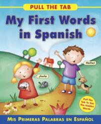 Pull the Tab: My First Words in Spanish (ISBN: 9781843229179)