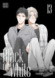 Black or White, Vol. 13 - Sachimo (ISBN: 9781974765942)