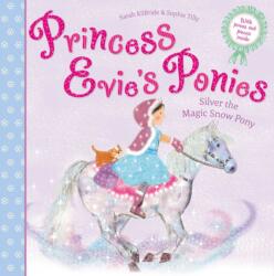 Princess Evie's Ponies: Silver the Magic Snow Pony (ISBN: 9781471163760)