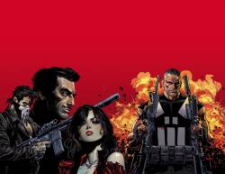Marvel Knights: Punisher (ISBN: 9781302914301)
