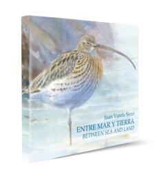 Between Sea and Land / Entre Mar y Tierra (ISBN: 9788496553699)