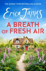 A Breath of Fresh Air (ISBN: 9781398730236)