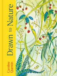 Drawn to Nature (ISBN: 9781805701347)